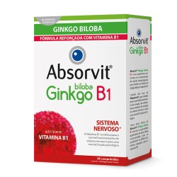 Absorvit Ginkgo +B1 60...