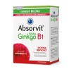 Absorvit Ginkgo +B1 60 Comprimidos