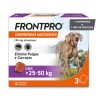 Frontpro 25-50kg 3 Comprimidos Mastigáveis