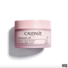 Caudalie Resveratrol-Lift Creme Tisana de Noite 50ml – Creme Antienvelhecimento Redensificador e Reafirmante Noturno
