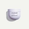 Caudalie Vinotherapist Bálsamo Corporal Vegan Relipidante 250ml | Nutrição Intensa e Conforto Duradouro