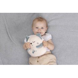 Chicco Gatinho Ron Ron | Peluche Interativo com Sons e Movimento para Bebés