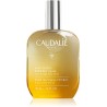 Caudalie Óleo de Cuidado Soleil des Vignes 50ml – Nutrição, Luminosidade e Perfume Solar