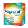Magnoral Solução Oral Ampolas 20x10ml